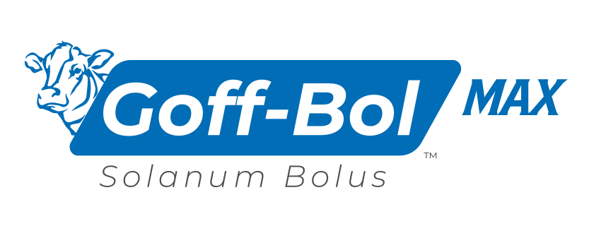 goff bol max logo master(1)